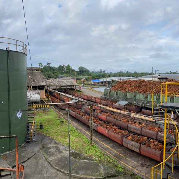 WhatsApp Image 2024-07-31 at 12.02.09 PM